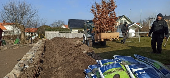 Plantering av färdiga häckelement i en trädgård med jord och gödsel.