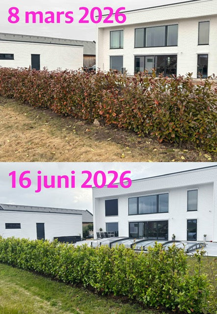 Häcken ser ut att ha gett upp – men har den verkligen det?