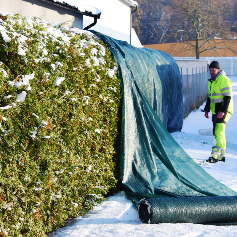 Vintertäckning av häck med grönt skyddsnät, 2023/2024.