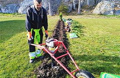 Planterad och klar
