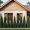 Alt text (Swedish): Täta och eleganta Thuja Columna-träd framför ett modernt hus.
