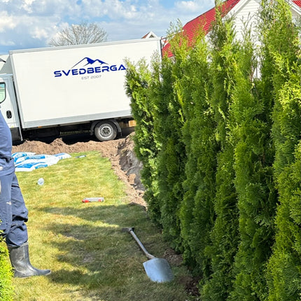 Köp Planterad & Klar Thuja Smaragd 120-140 cm Svedberga Vadstena Planterad & Klar