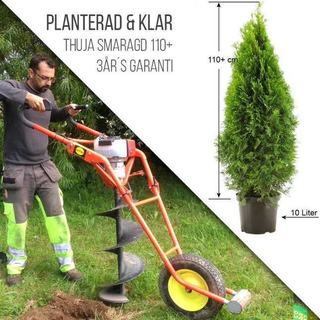 Köp Planterad & Klar Thuja Smaragd 100-120 cm Svedberga Vadstena Planterad & Klar