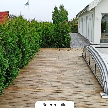 Köp Thuja Brabant 140-160 cm, Co12 » LQ Remco Thuja Brabant